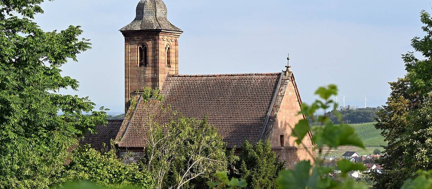 Vinogradi s kapelicom među trsovima
